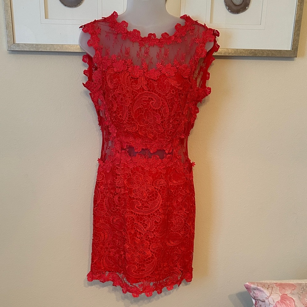 Soieblu Scarlet Floral Lace Mini Dress
